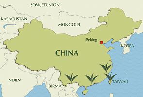 größter teeproduzent der erde nach china in europa